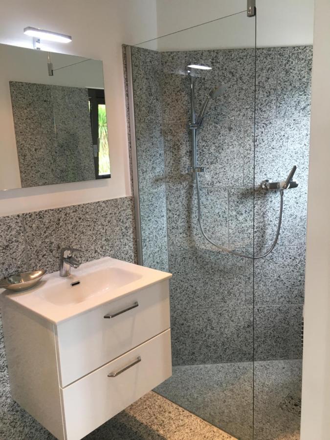 הוילה Rustico Resa: Brione Sopra Minusio מראה חיצוני תמונה
